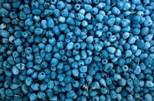Berries: Antioxidant-Rich Defenders