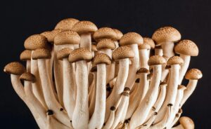 Best Foods for Prostate Health